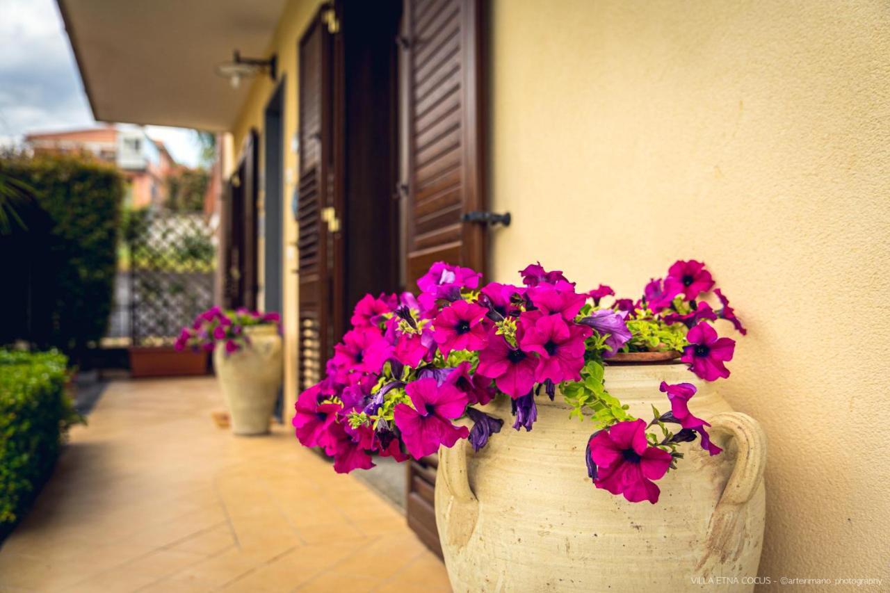 Casa Vacanze Etna Cocus ซานตา เวเนรินา ภายนอก รูปภาพ