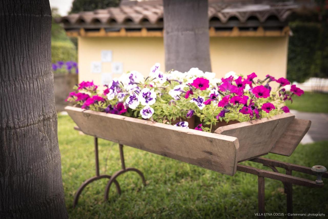 Casa Vacanze Etna Cocus ซานตา เวเนรินา ภายนอก รูปภาพ