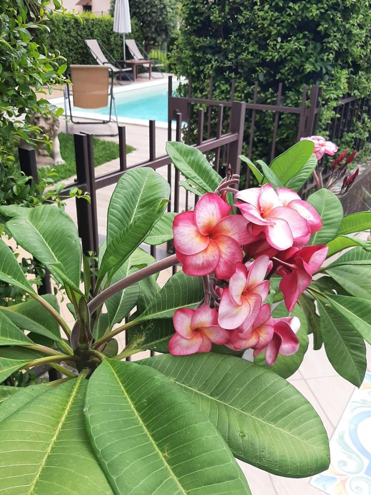 Casa Vacanze Etna Cocus ซานตา เวเนรินา ภายนอก รูปภาพ